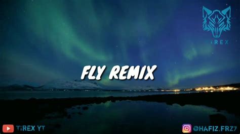 storm vs fly remix