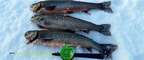 stortjärn fiskekort