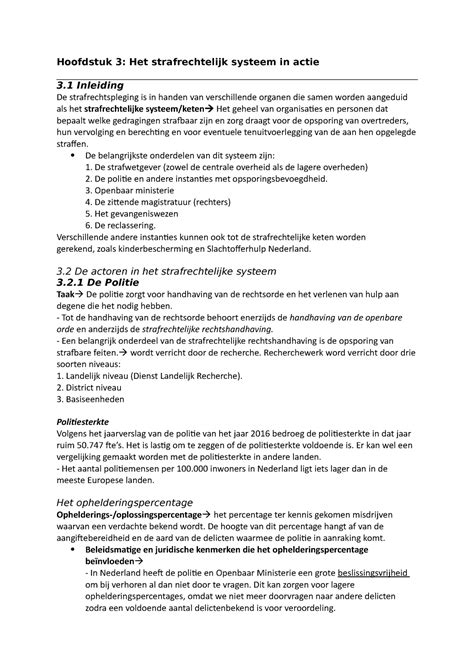 strafrechtelijk systeem