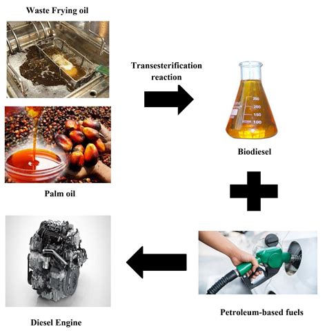 Straight Vegetable Oil