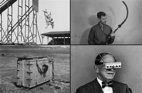 strange antics a history of seduction