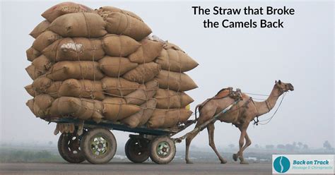 Straw Camel's Back