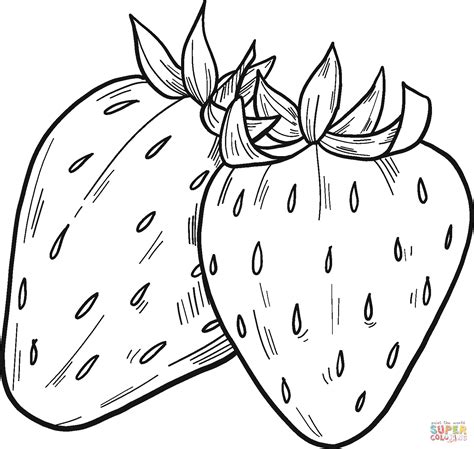Strawberries Coloring Pages Free Amp Printable Strawberry Coloring Printable Pictures Of Strawberries - Printable Pictures Of Strawberries