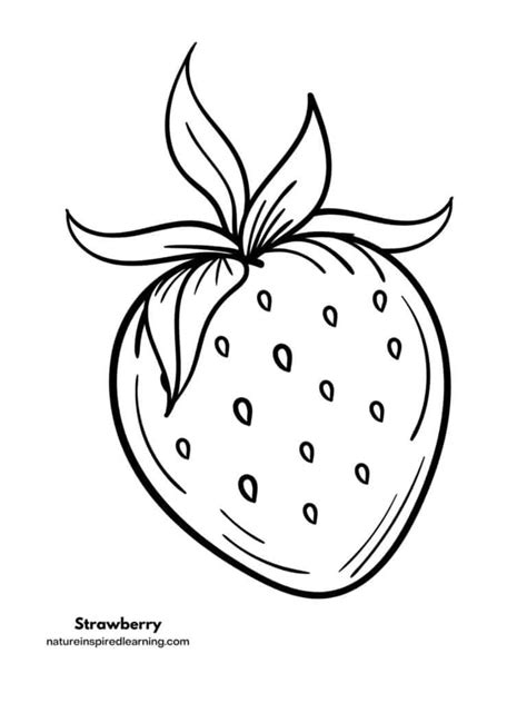 Strawberry Coloring Pages Nature Inspired Learning Printable Pictures Of Strawberries - Printable Pictures Of Strawberries