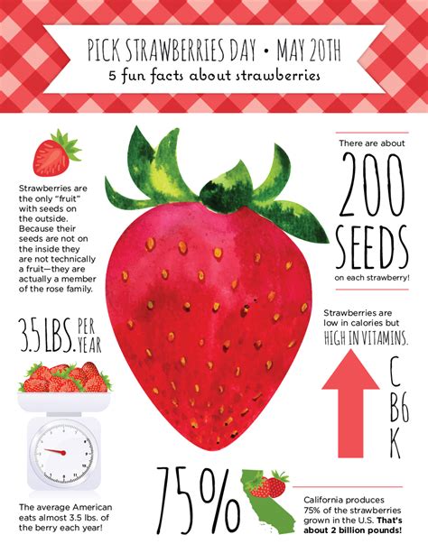 Strawberry Facts Lesson For Kids Lesson Study Com Strawberry Lesson Plans Preschool - Strawberry Lesson Plans Preschool
