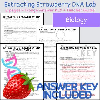 Download Strawberry Extraction Lab Data Analysis Questions 