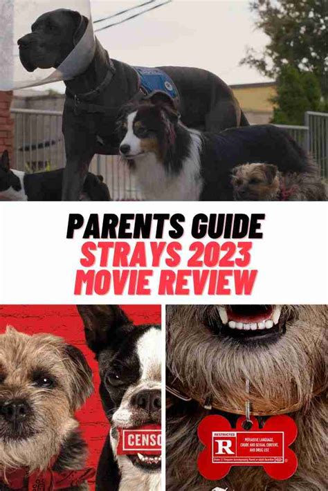 Strays Parents Guide