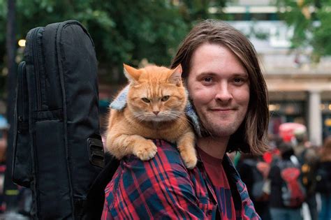Street Cat Bob