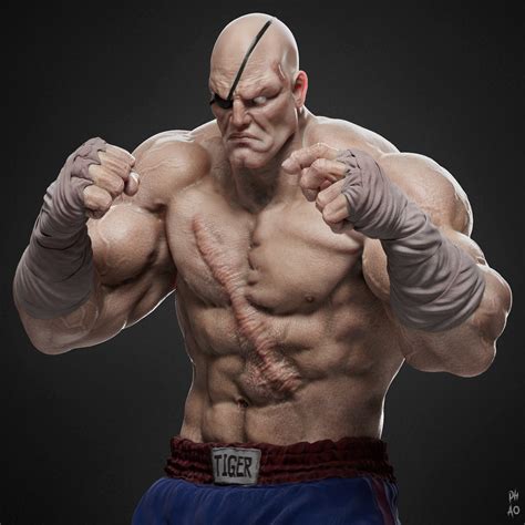 street fighter characters sagat