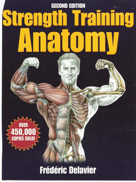 Read Online Strength Training Anatomy 2Nd Edition 