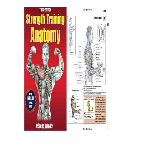 Read Strength Training Anatomy 3Rd Edition Free 