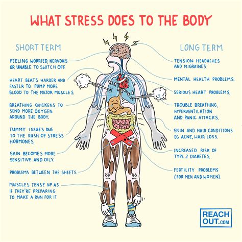 Stress How It Works And How To Beat Stress In Science - Stress In Science