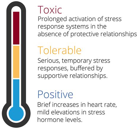 Stress In Science   Toxic Stress - Stress In Science