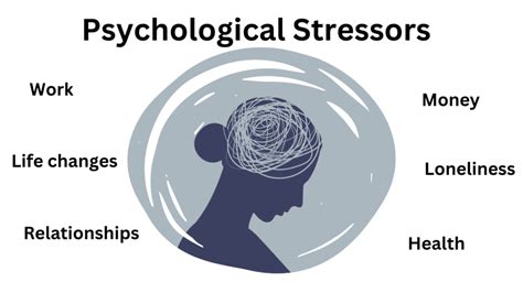 Stressor Definition