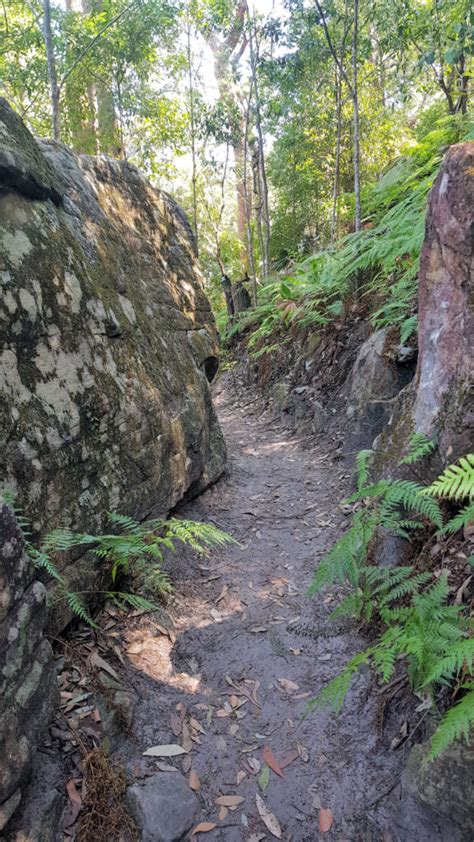 Strickland State Forest