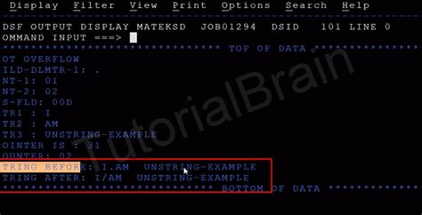 string and unstring in cobol