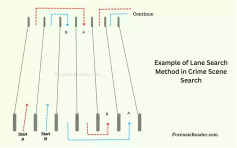 strip and search