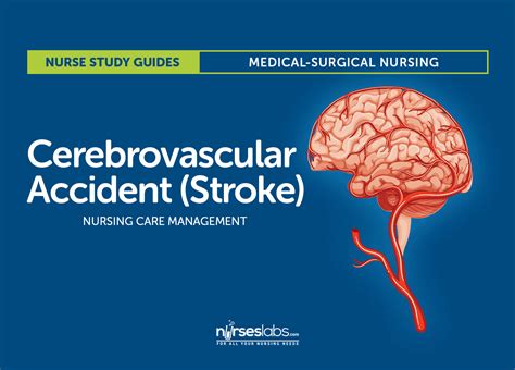 Stroke Nursing Care Plan