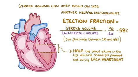 Stroke Volume Adalah