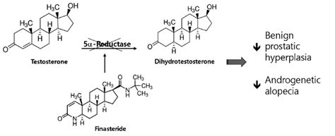 Structure Of Finasteride 5 Alpha Reductase Complex