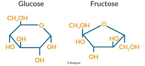 Structure Of Glucose And Fructose