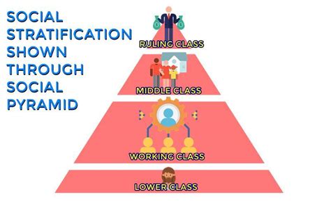 Structure Of Human Society The