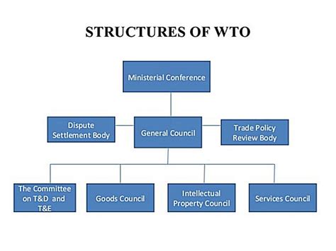 Structure Of Wto