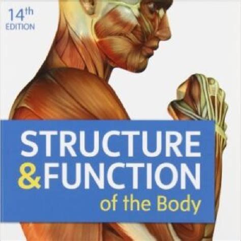 Full Download Structure And Function Of Body 14Th Edition 