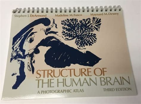 Download Structure Of The Human Brain A Photographic Atlas 