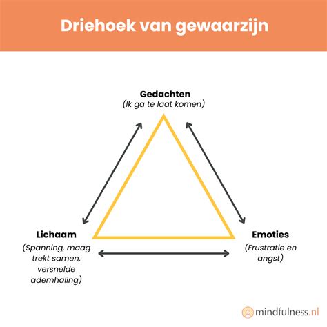 structuur denken