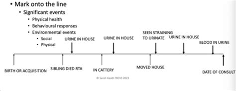 struggle for existence autobiography definition quizlet