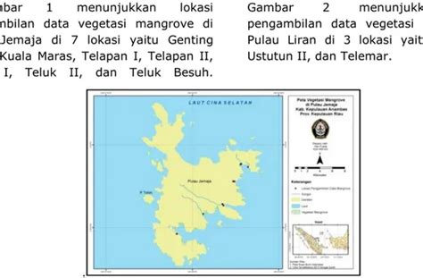 Struktur Komunitas Mangrove Di Pulau Jemaja Kabupaten Eon777 - Eon777