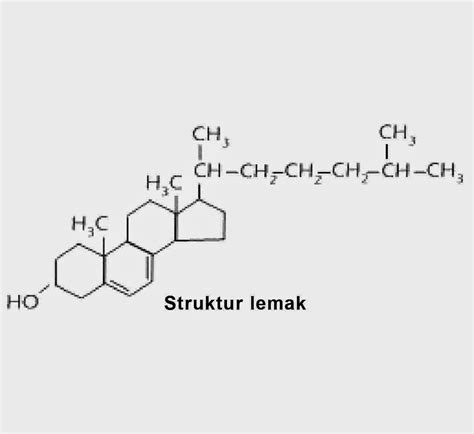 struktur lemak | Pembangunan Sistem Penghilang Bau untuk Dapur Keluarga