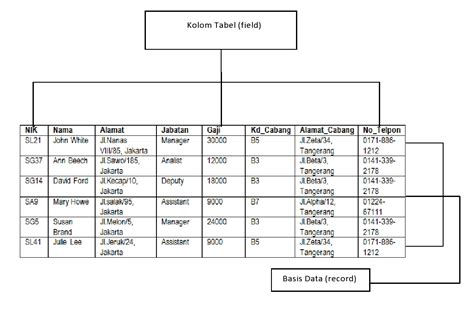 struktura tabeli sql