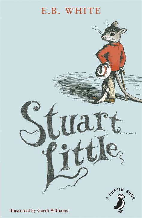 Stuart Little Book