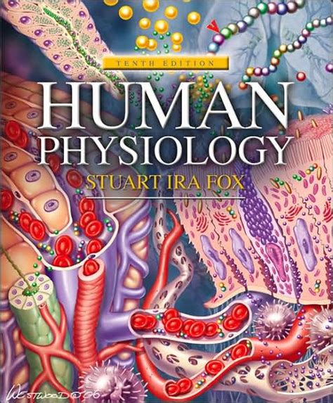 Full Download Stuart Ira Fox Human Physiology 