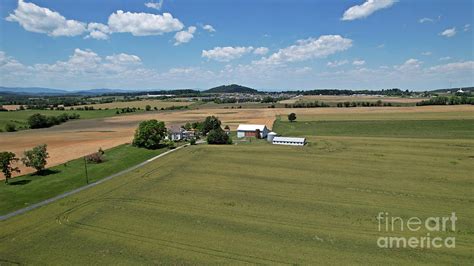 stuarts draft virginia