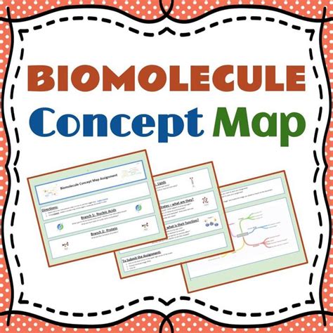 Student Created Concept Map Of Biomolecules The Biology Biochemistry Concept Map Worksheet Answers - Biochemistry Concept Map Worksheet Answers