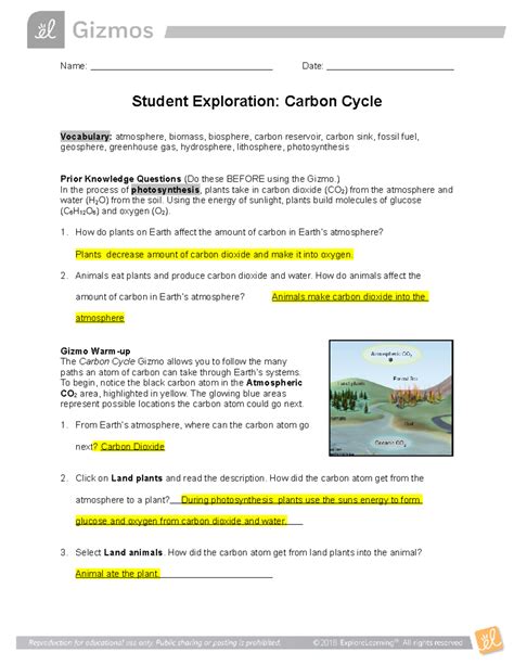 Student Exploration Carbon Cycle Answer Key