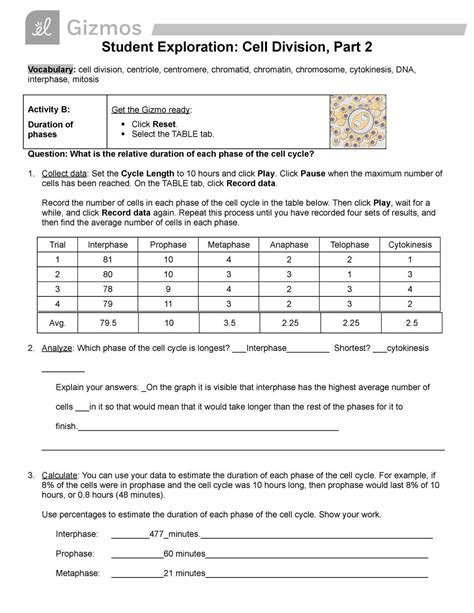 Student Exploration Cell Division