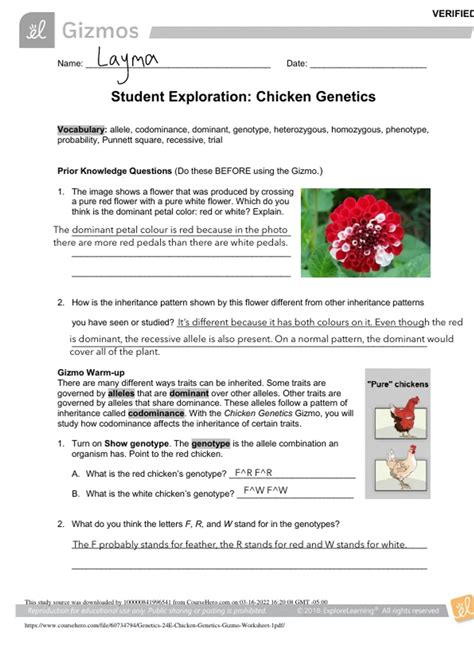 Student Exploration Chicken Genetics