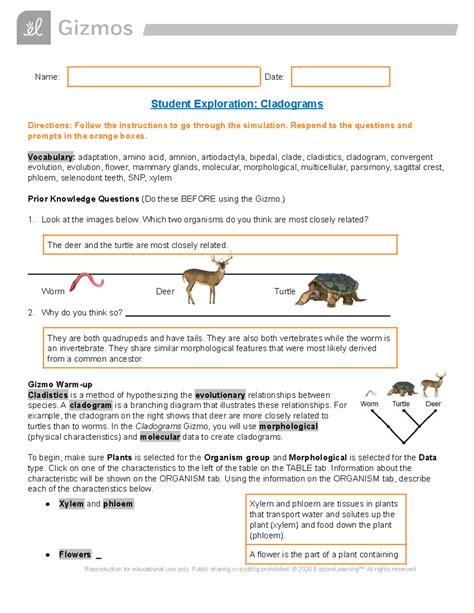 Student Exploration Cladograms