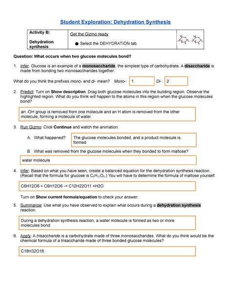 Student Exploration Dehydration Synthesis