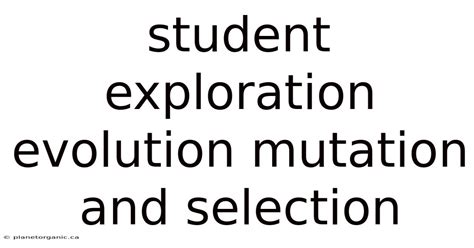 Student Exploration Evolution Mutation And Selection