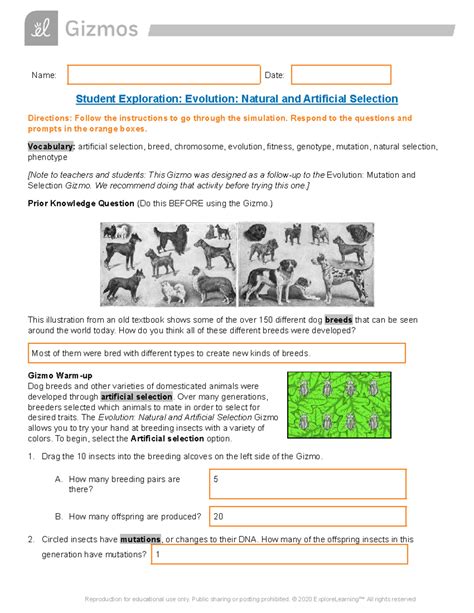 Student Exploration Evolution Natural Selection Answer Key