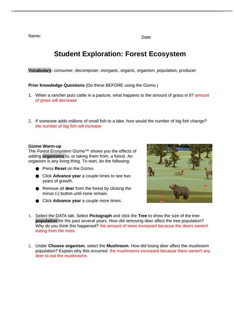 Student Exploration Forest Ecosystem