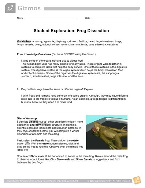 Student Exploration Frog Dissection Answer Key