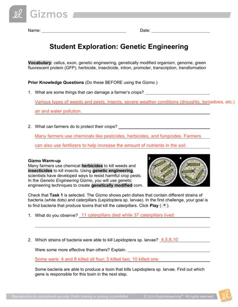 Student Exploration Genetic Engineering