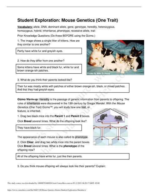Student Exploration Mouse Genetics One Trait