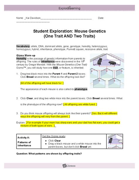Student Exploration Mouse Genetics Two Traits